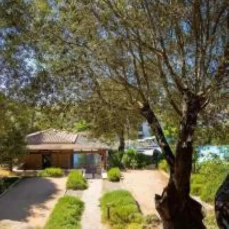 Stella Standing, Vue Panoramique *